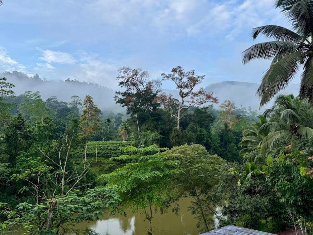 Sinharaja Vini Villa 代尼耶耶 外观 照片