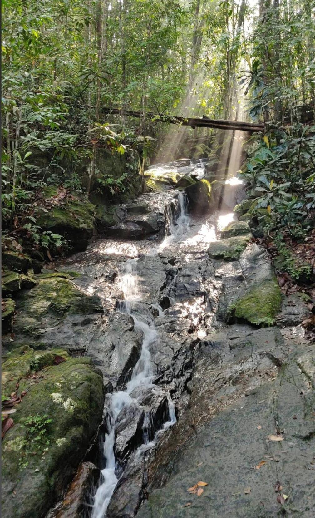 Sinharaja Vini Villa 代尼耶耶 外观 照片