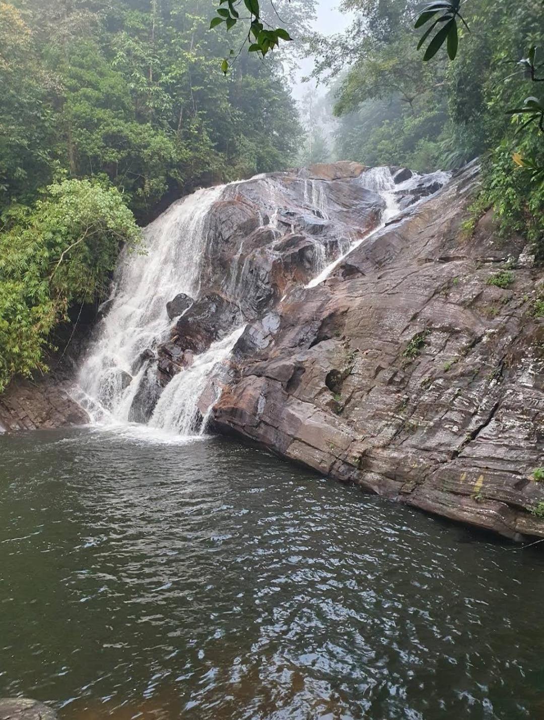 Sinharaja Vini Villa 代尼耶耶 外观 照片