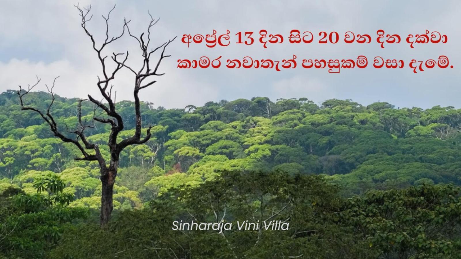 Sinharaja Vini Villa 代尼耶耶 外观 照片